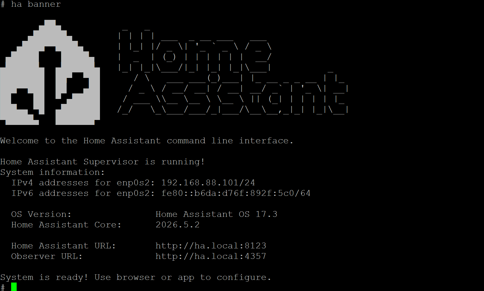 Home Assistant information